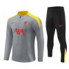 Liverpool Sweat d'Entraînement Quarter-Zip 2024-25 Grise Pour Enfant